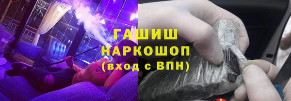 хмурый Бикин