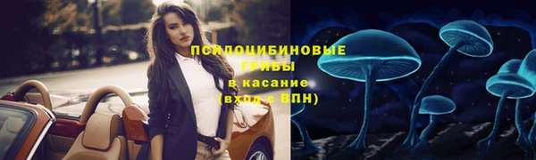 мяу мяу мука Баксан