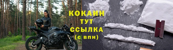 мяу мяу мука Баксан