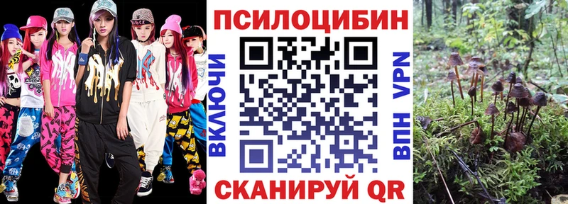 купить  цена  Губкинский  Псилоцибиновые грибы ЛСД 